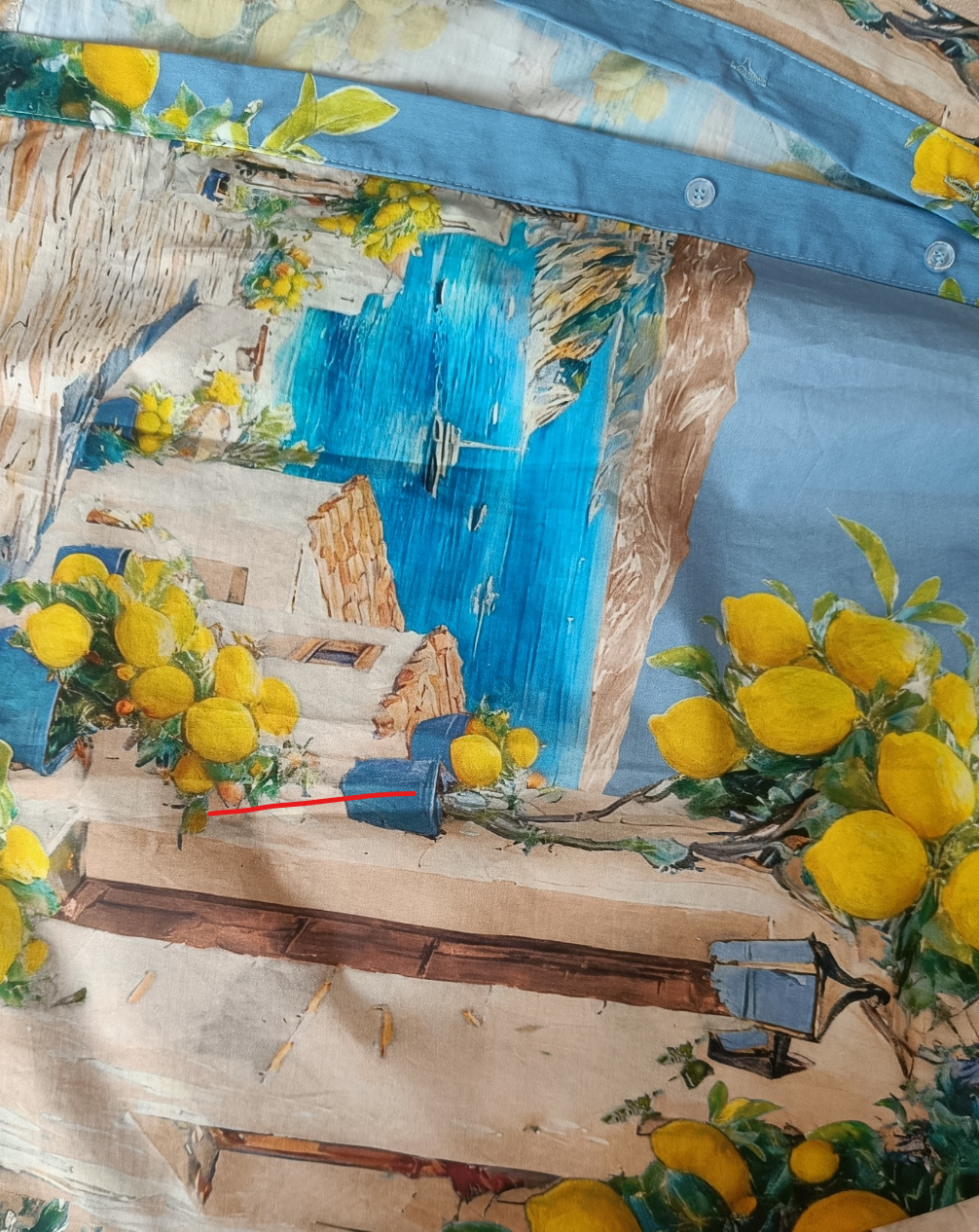 Rochie Midi cu Imprimeu Mediteran & Lămăie